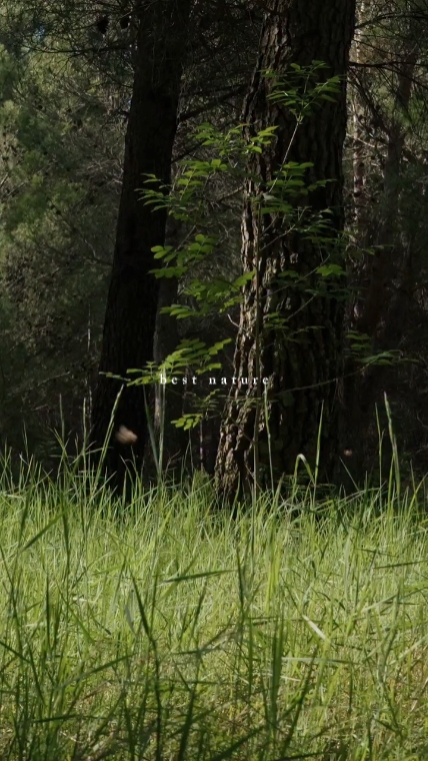 best nature