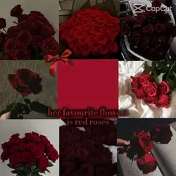 Flower 🌹 