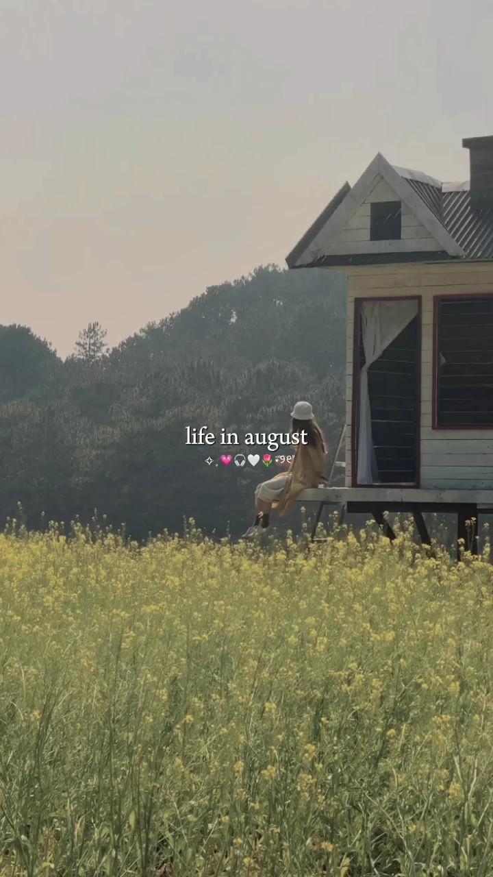 Vida em agosto 