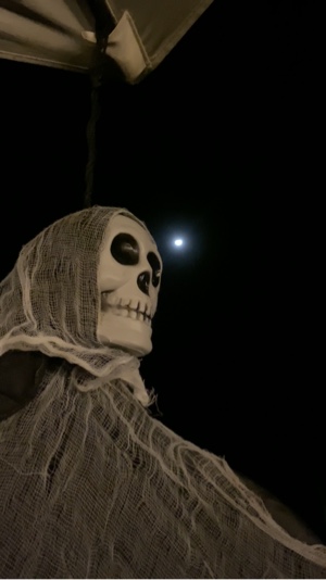Halloween Special
