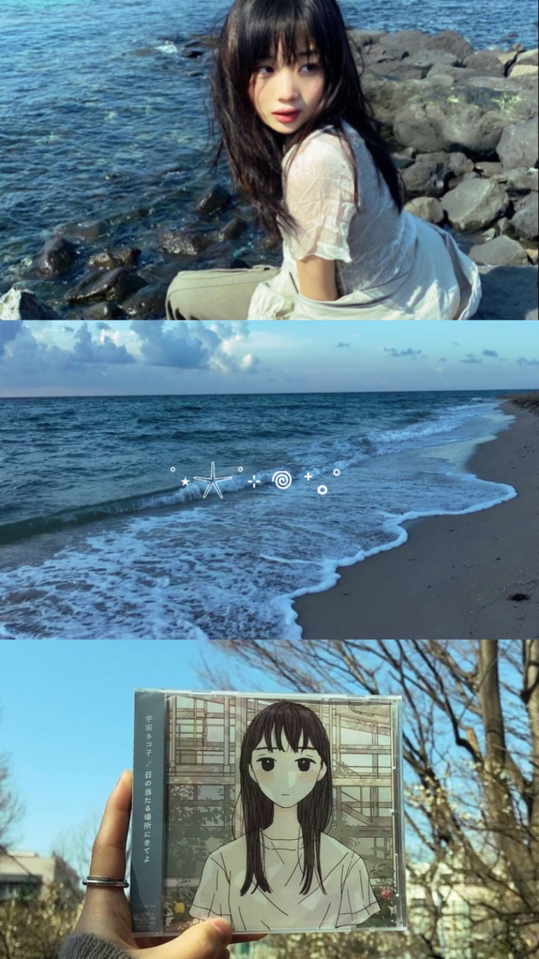 3 photos/vids