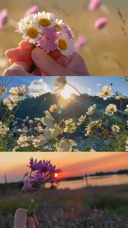 Spring Moments