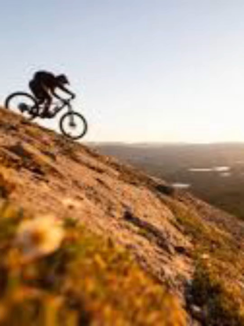 mountain biking 