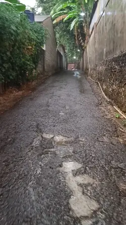 Rainy Day