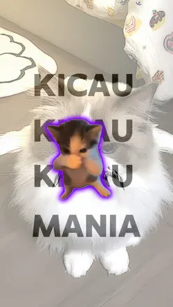 tidak miror