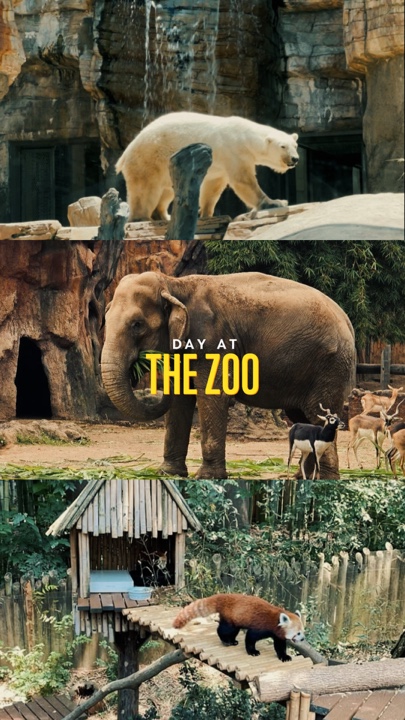 Día en el zoológico