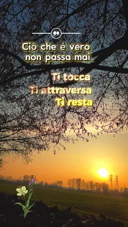 ciò ch'è vero 