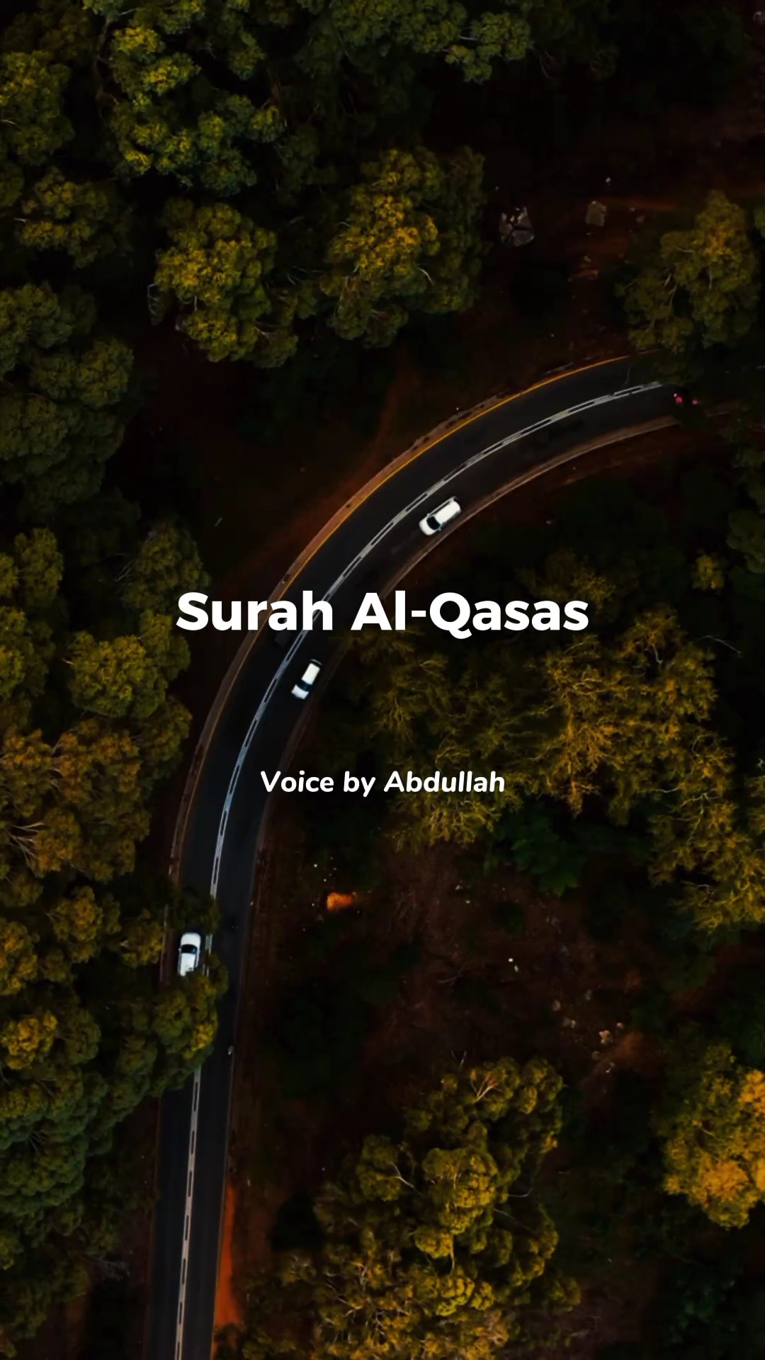 Surah Al-Qasas: 77