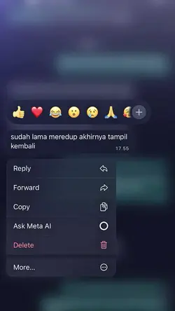 SUDAH LAMA MEREDUP