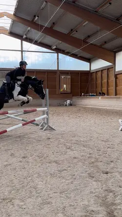 THIS HORSE!!!๐คฉโค๏ธโ๐ฅ