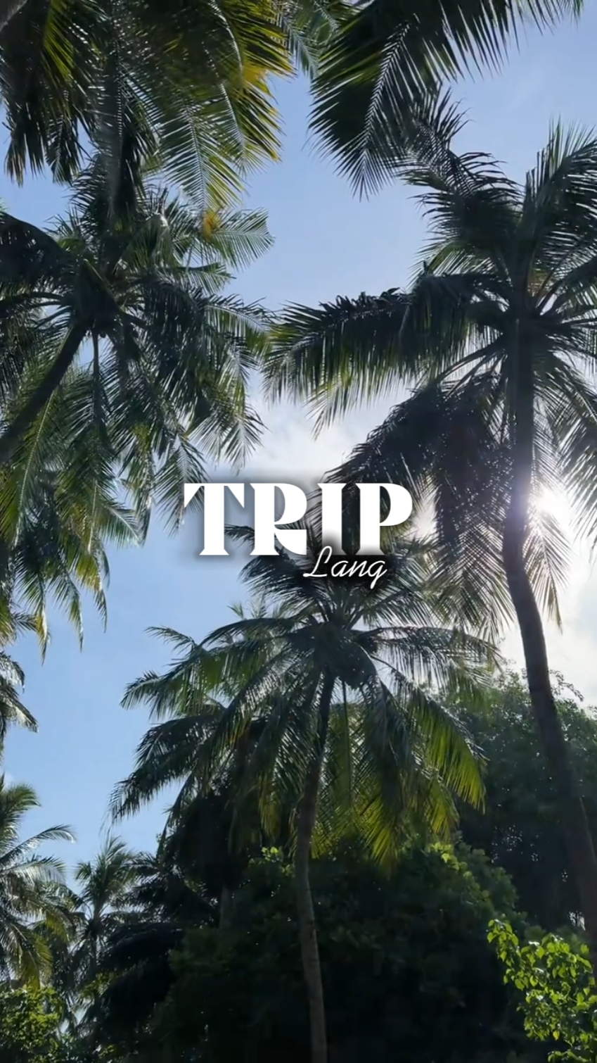Trip Lang