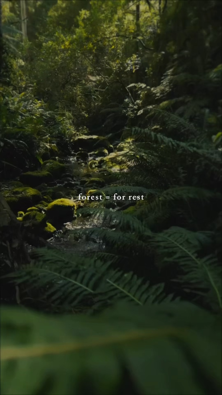 Floresta 