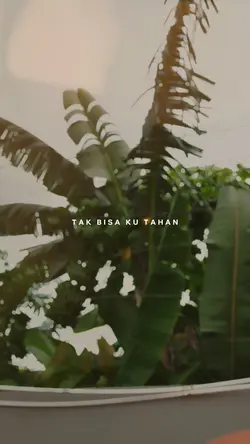Kau Masih Kekasihku