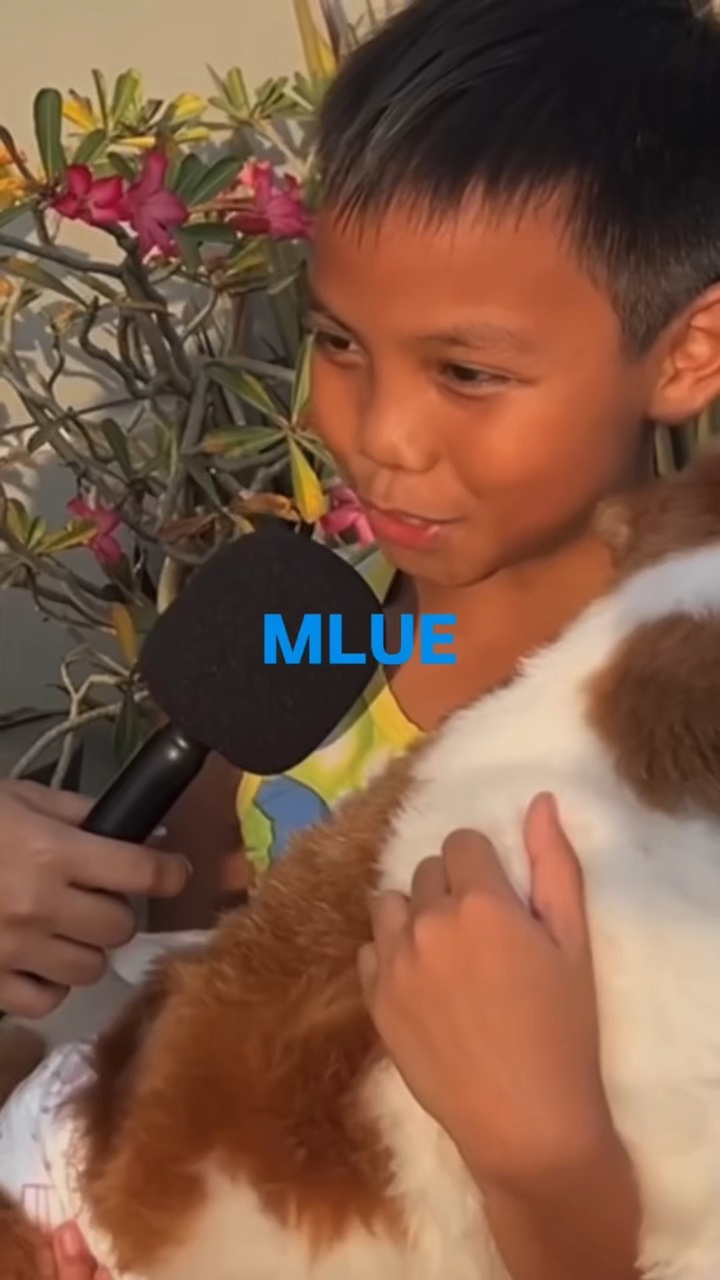 give me a color MLUE