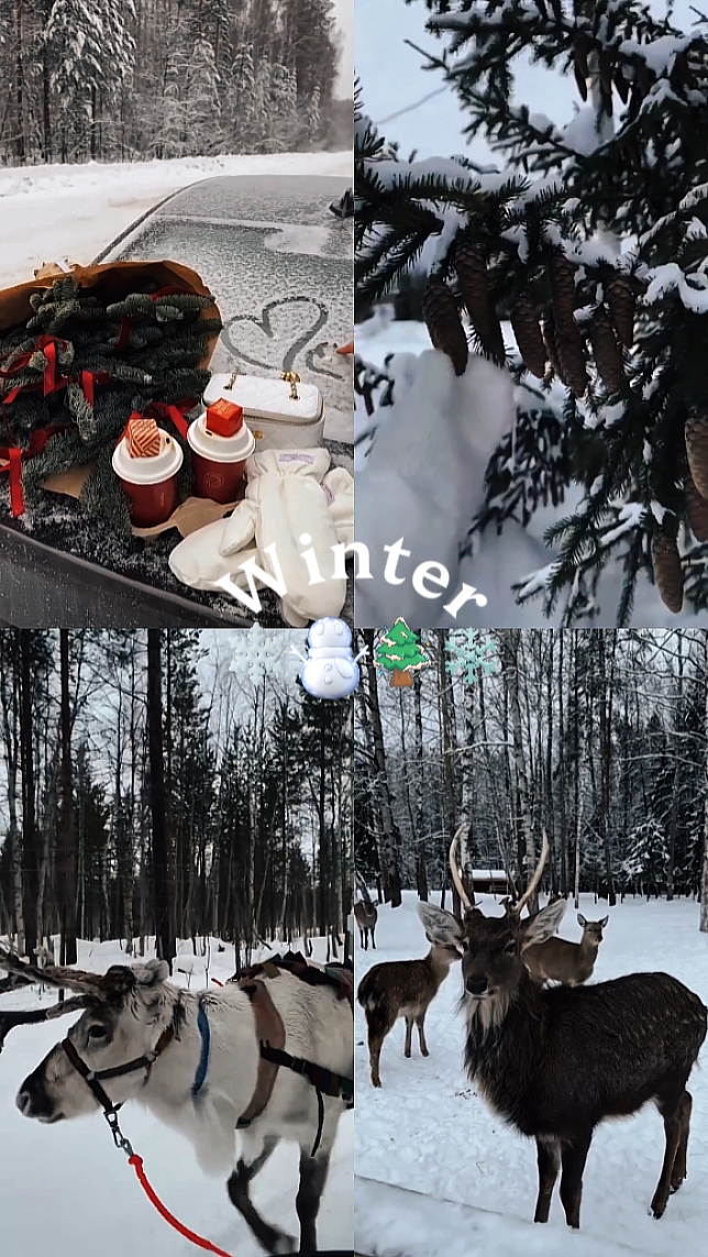 VIBRAS DE INVIERNO