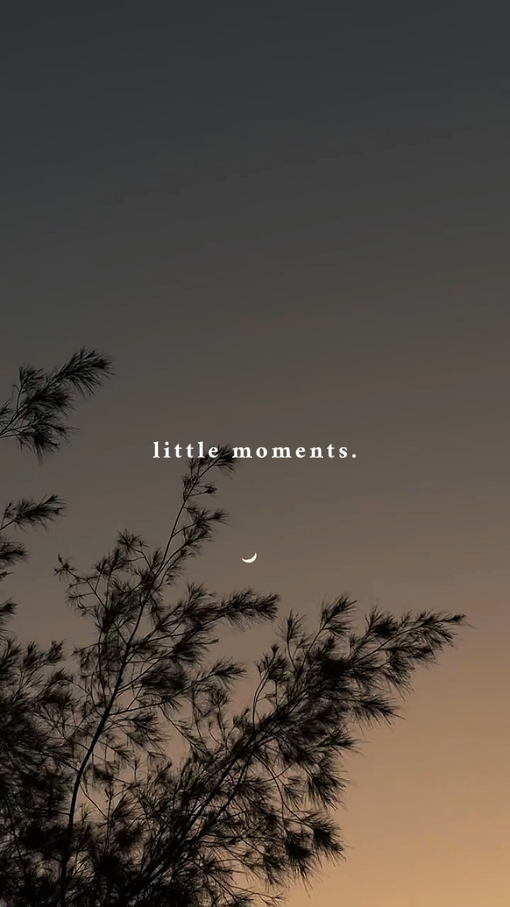 little moments.