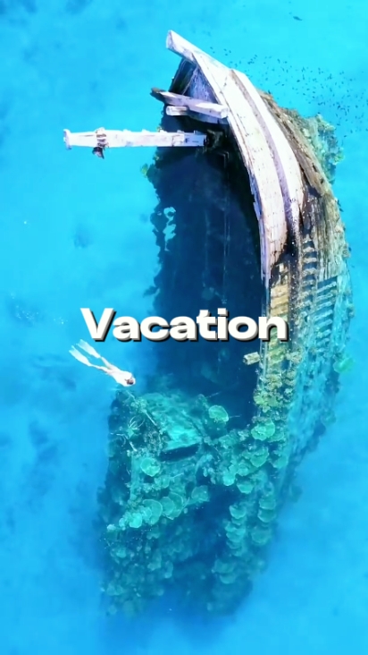 100. Urlaub