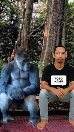 DUDUK SAMA GORILA