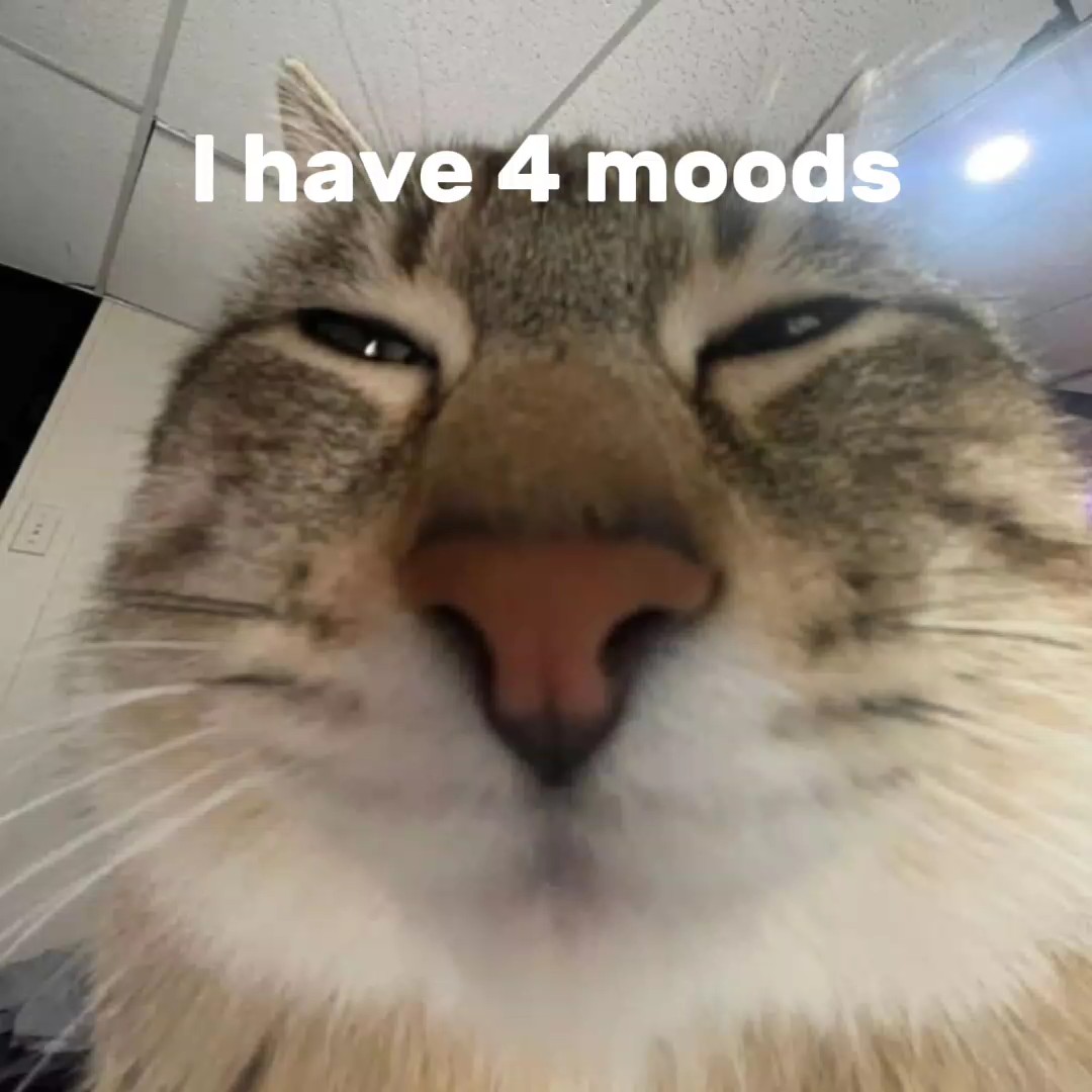 Ich habe 4 Stimmungen