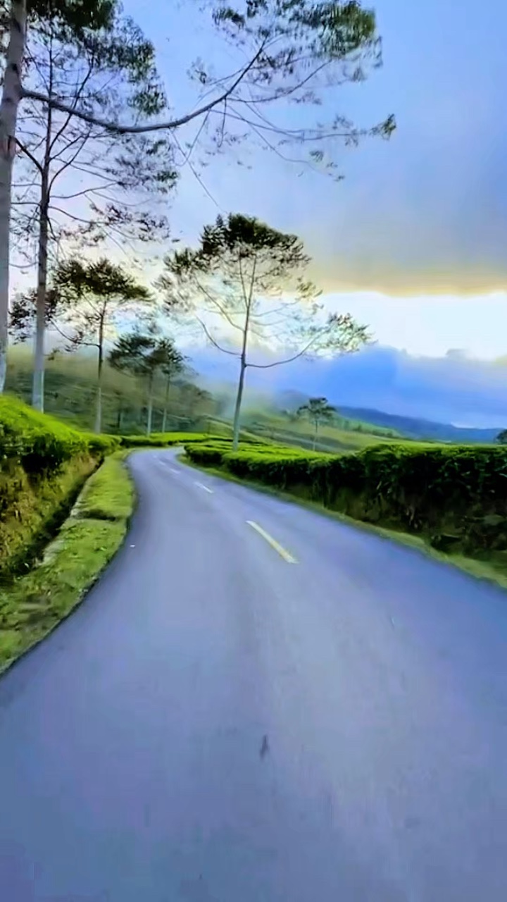 3 video klip HD 