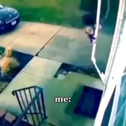 don't let anyone in