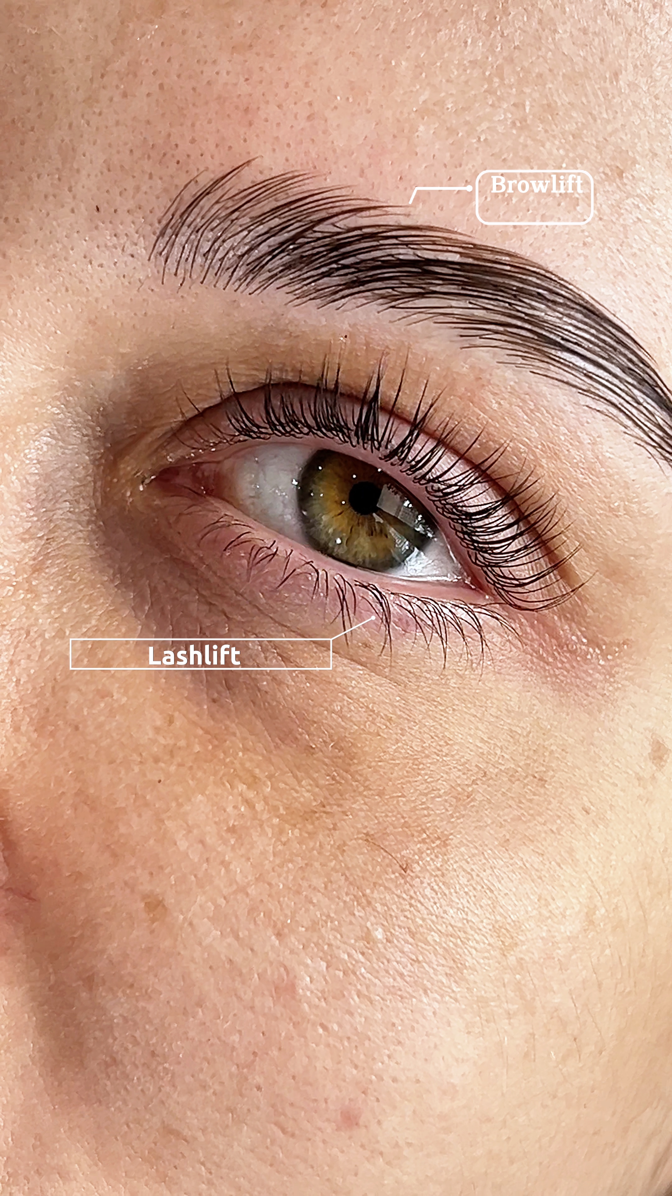 Levantamiento de cejas y pestañas ✨