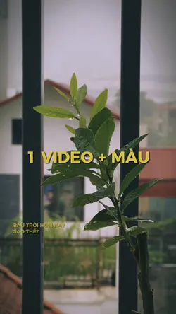 Vibe buồn