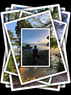 6Pic Clip Aesthetic