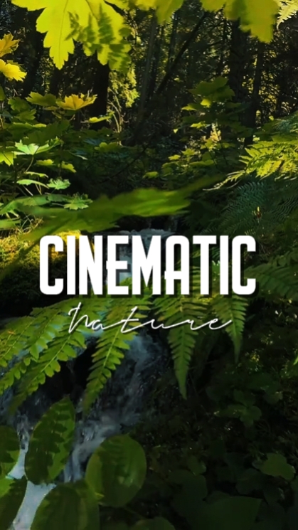 CINEMATIC NATURE 