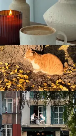 3 Grid