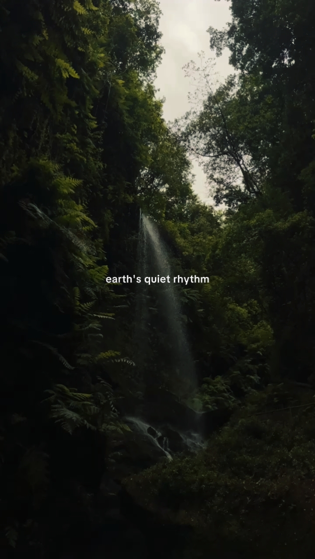 Therapy