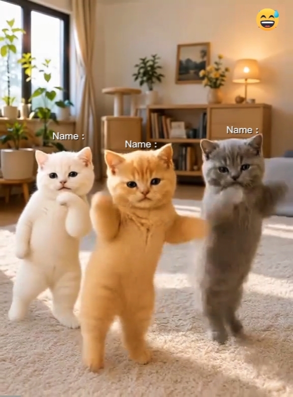 Write the name 