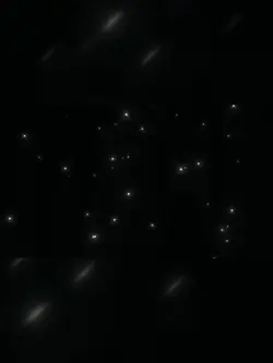 Viral template