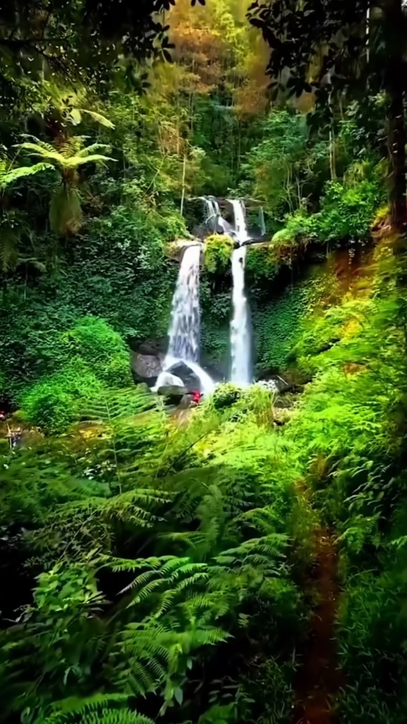 Aventura