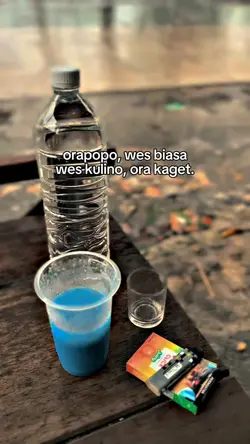 wes biasa ora kaget