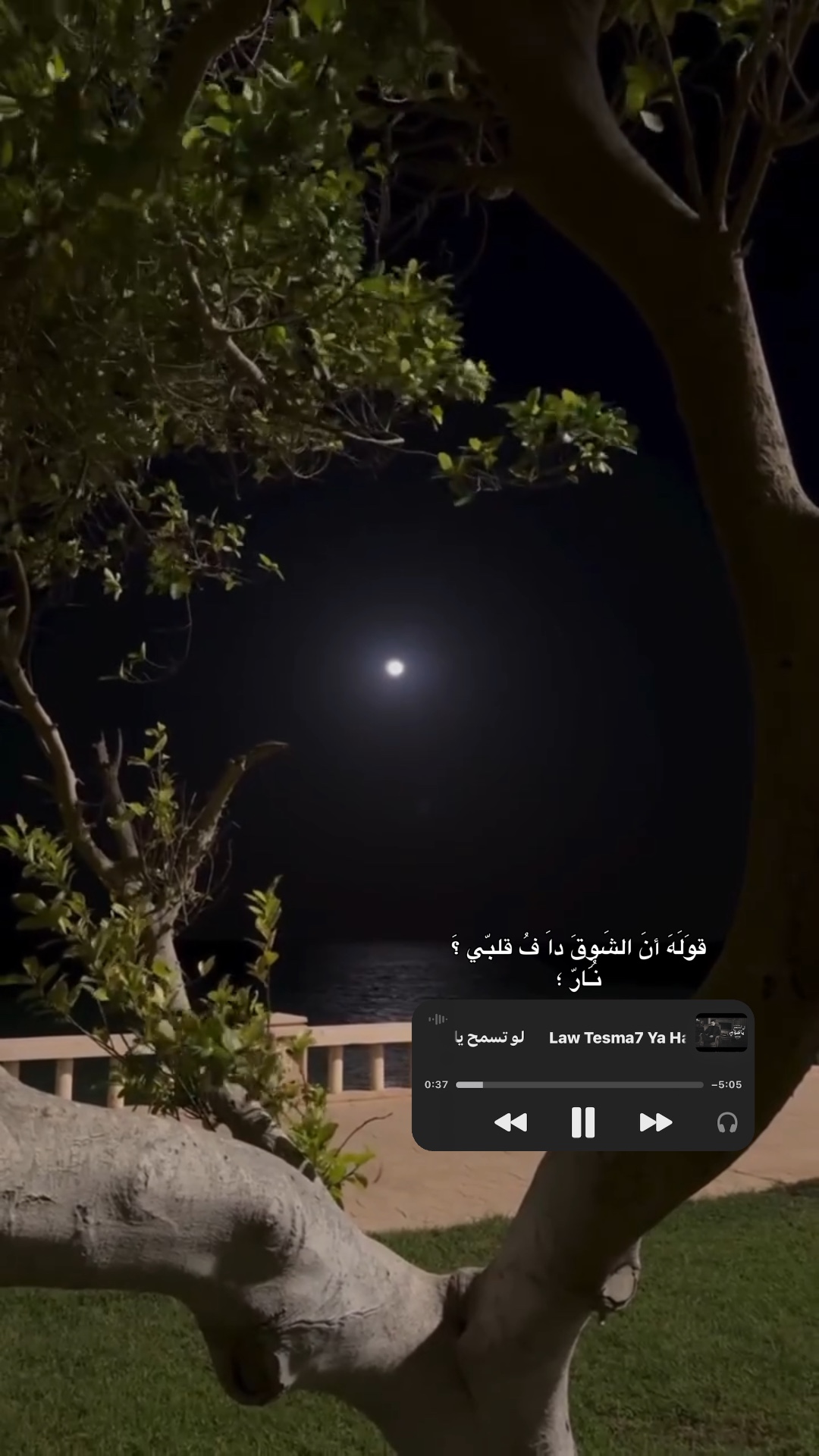 تسمياهوي - ترند🤎