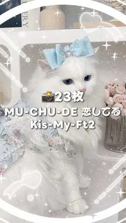 🎵MU-CHU-DE 恋してる