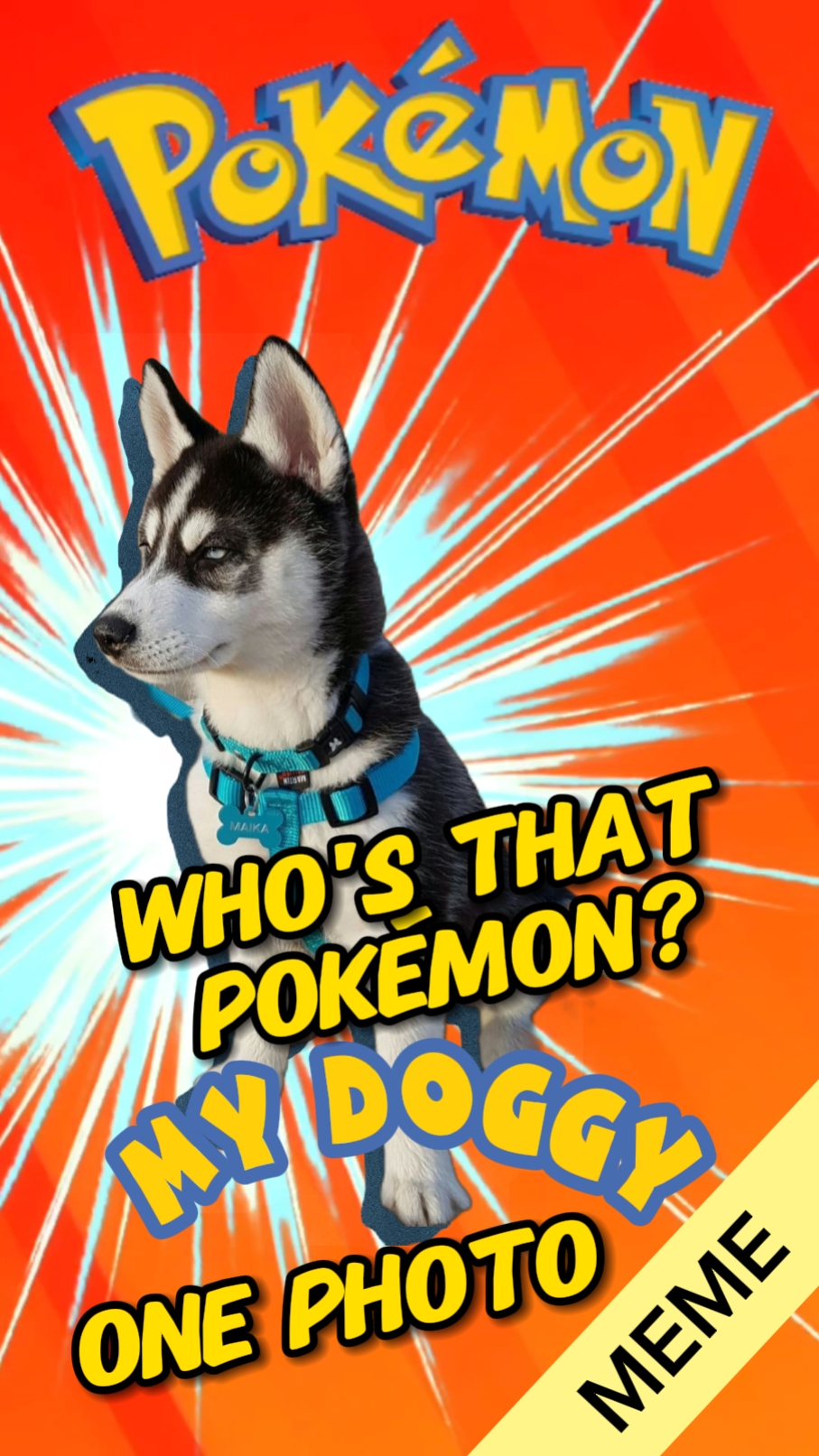 Wer ist dieses Pokémon?