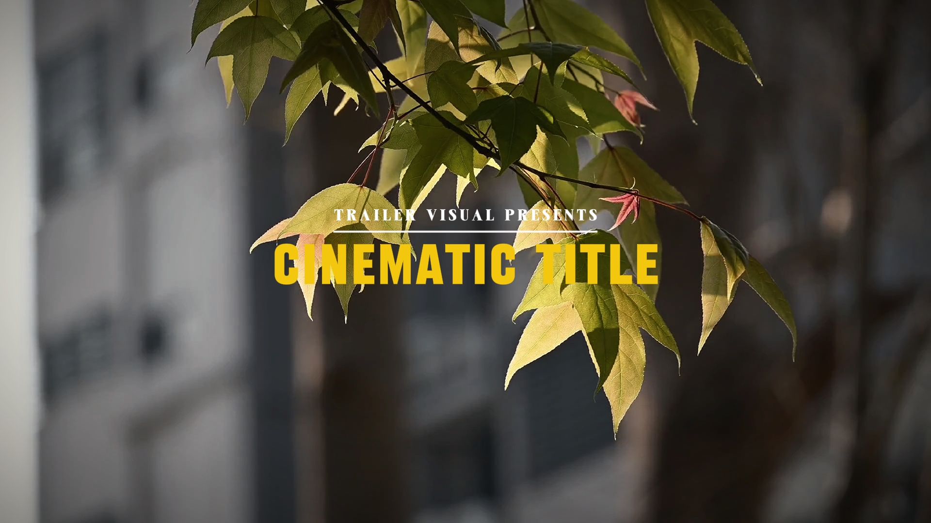 TRAILER VISUAL