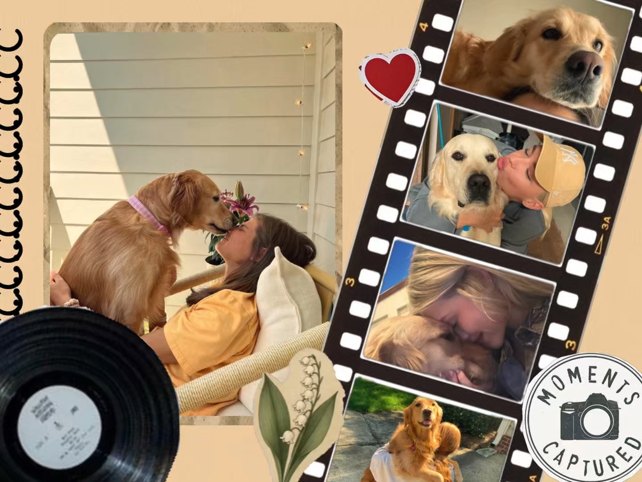 J'aime mon chien