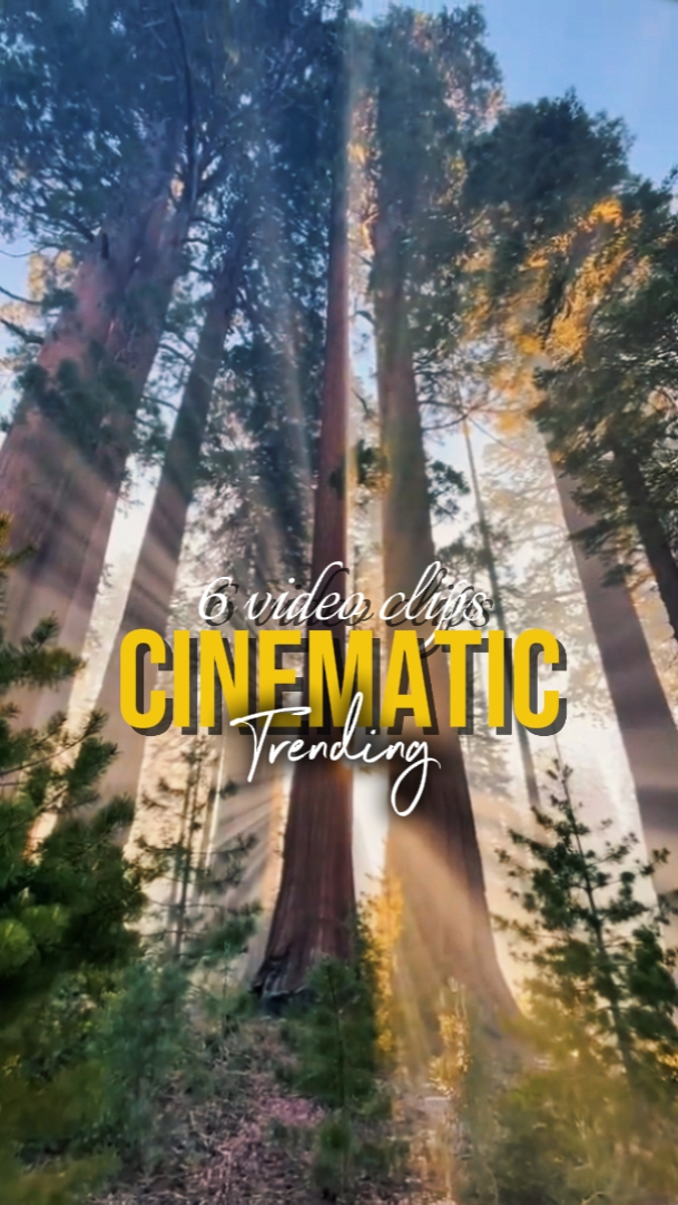 TENDANCE CINÉMATIQUE