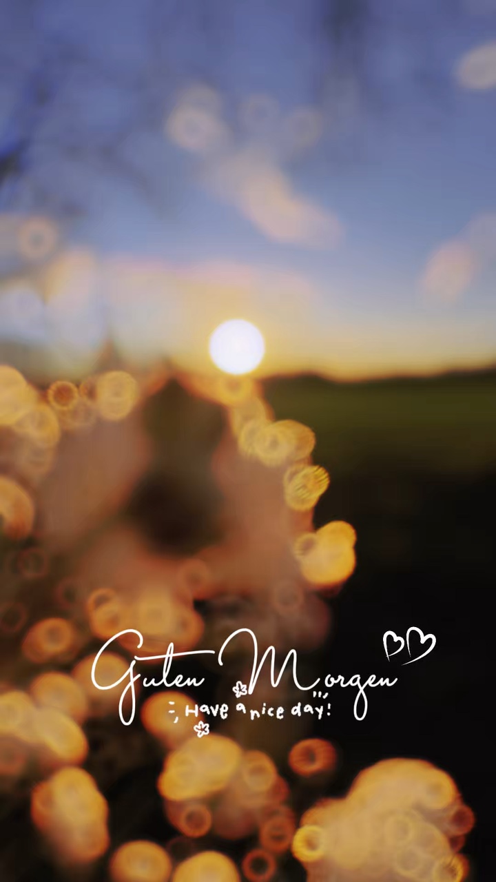 Guten Morgen ☀️ 