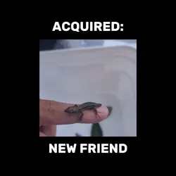 ur my friend now :D