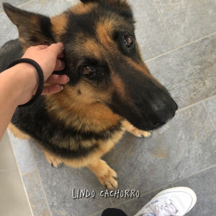 Chico Hermoso <3