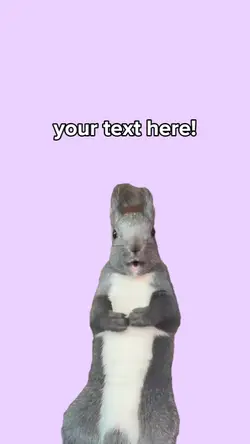 anxiety squirrel