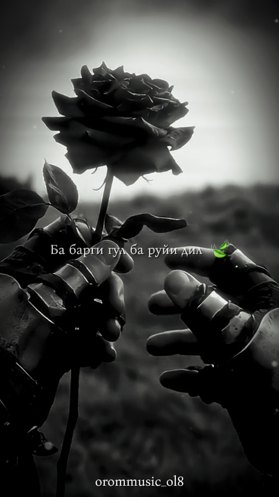 Texto muz
