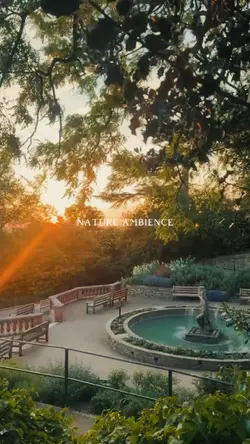 Nature Ambience