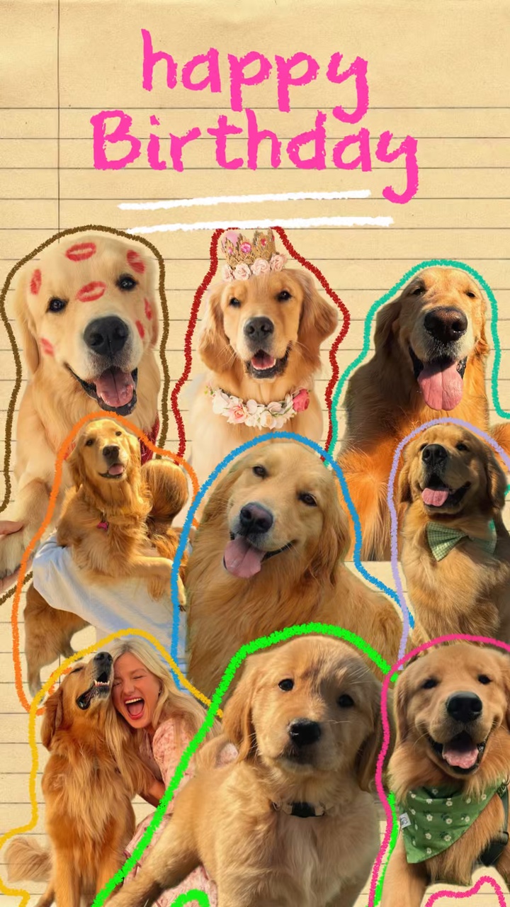 Birthday my dog hund