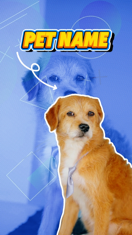 Introducción de mascotas