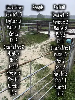 Wie war euer Zeugnis